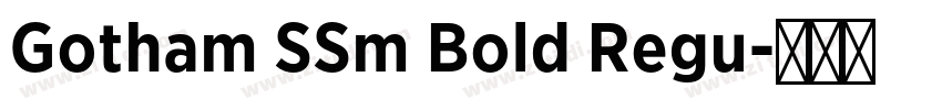 Gotham SSm Bold Regu字体转换